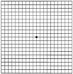 How the Amsler Grid Looks to a Person With Healthy Vision