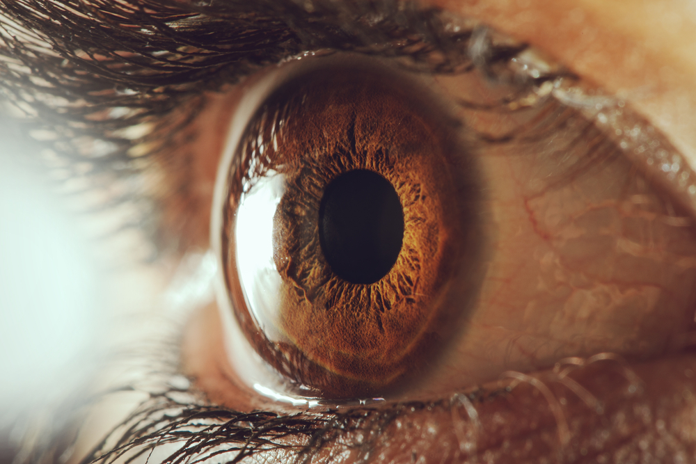 Close up of a persons brown eye showing the cornea.