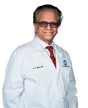 Dr. V.K. Raju